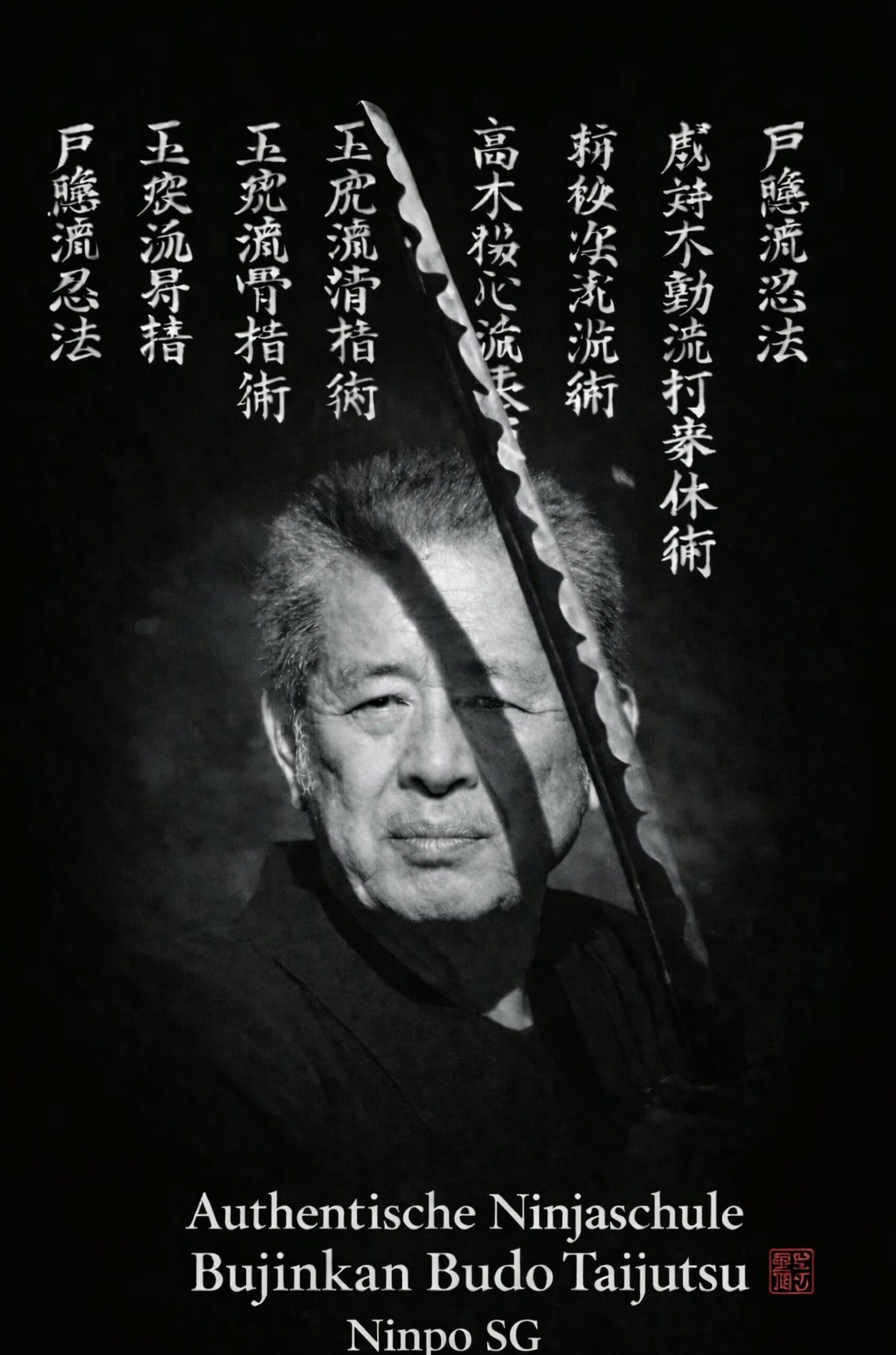 Ninpo Sg Bujinkan A1 Poster